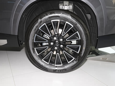 2025�� 205km Pro+��