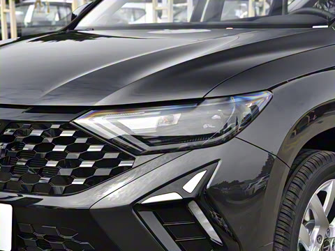 2026�� 280TSI �Զ��ȷ��