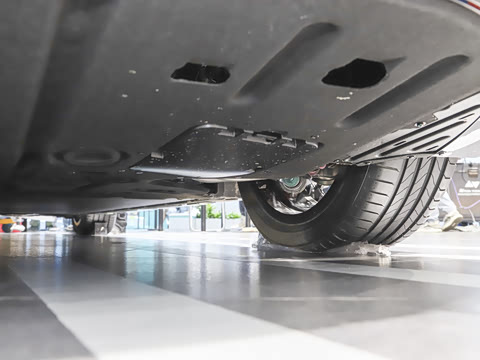 2026�� S GT ������