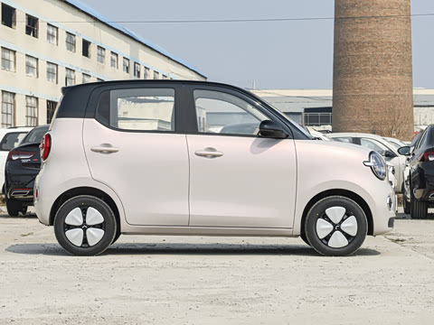 2026�� ����� 205km ���׿�