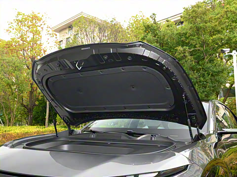 2025�� ����600 Max