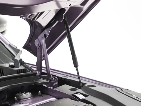 2026�� ������