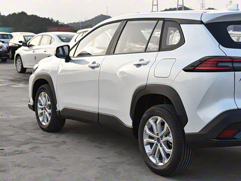 2026�� 2.0L ���ܵ��˫�� ����PLUS��