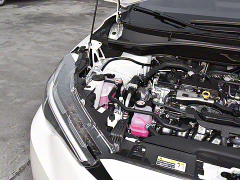 2026�� 2.0L ���ܵ��˫�� ����PLUS��