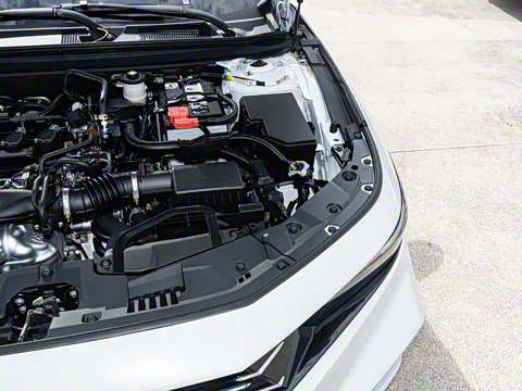 2025�� �˶�ϵ�� 260TURBO ���ʰ�