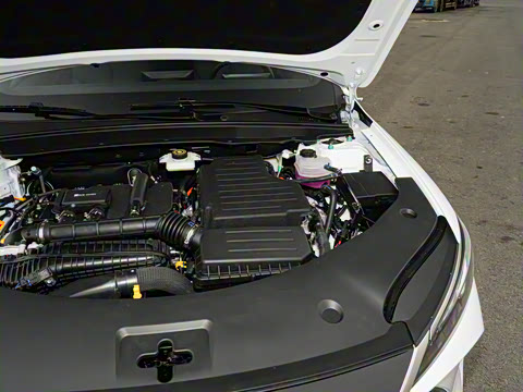 2026�� DM-i 210KM��ȡ��