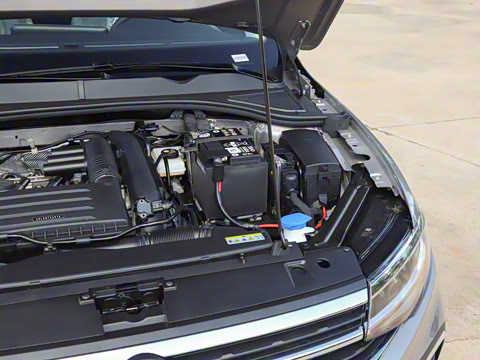 2025�� �Ŀ� 200TSI DSG���е�����