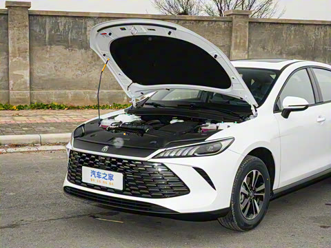 2026�� DM-i 210KM��ȡ��