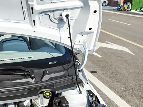 2026�� PLUS+ ������