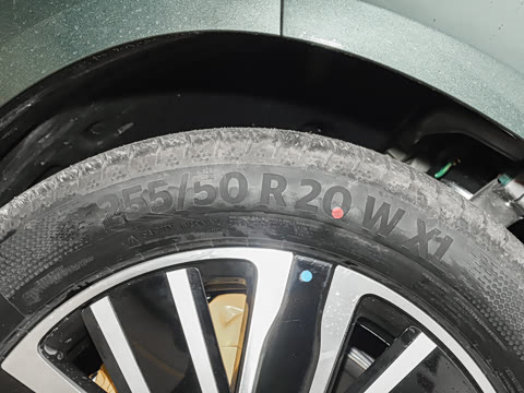 2025�� ������