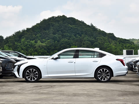 2025�� 28T �����˶���