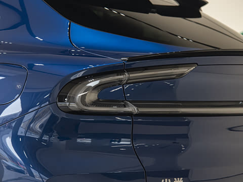 2025�� ������������Pro��