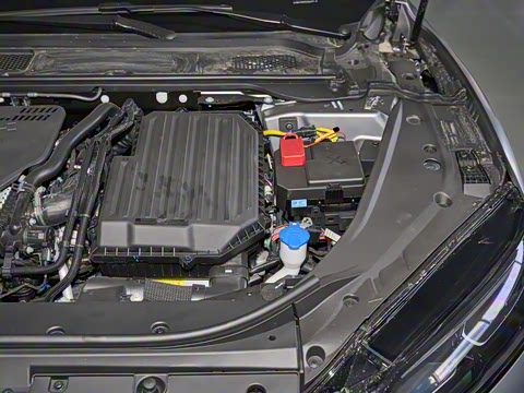 2025�� ���������۷��