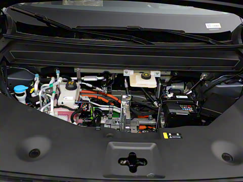 2026�� 650 ��׼��