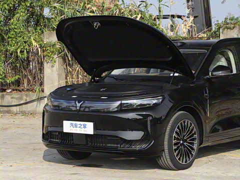 2025�� FREE+ ����Ǭ����