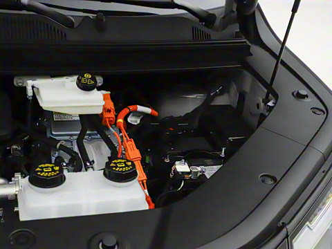 2025�� ��� 125km ������