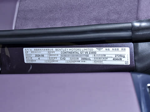 2024�� 4.0T GT V8 �ŶȰ�