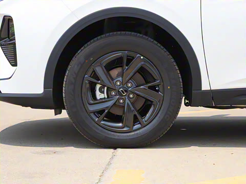 2025�� 150km ��ѡ��