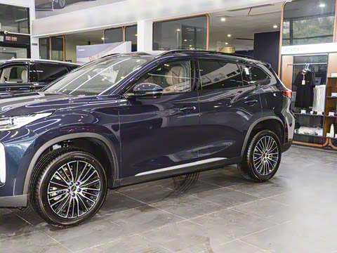 2025�� 300T ������ҹ��