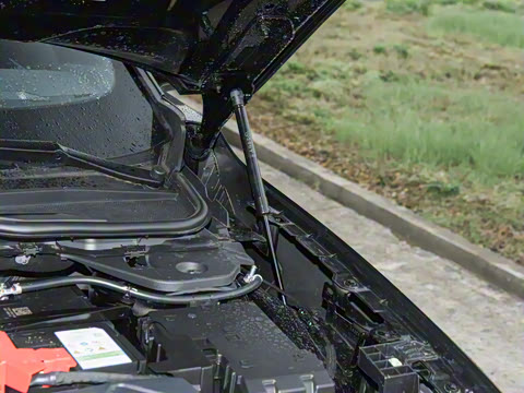 2026  2.0T  EcoBoost  