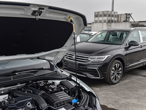 2026�� 300TSI DSG�ǿ����Ȱ�