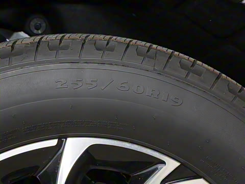 2025�� �Ŀ� 2.0T ����������