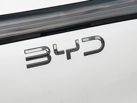 2026�� DM-i 310�콢��