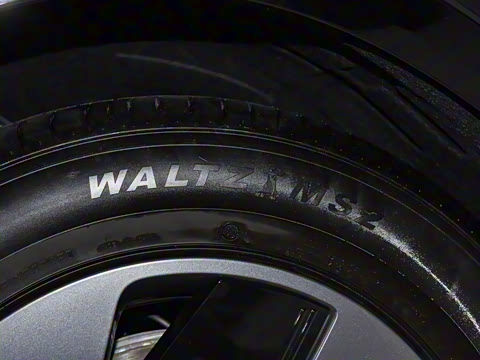 2025�� 602 ������ Max