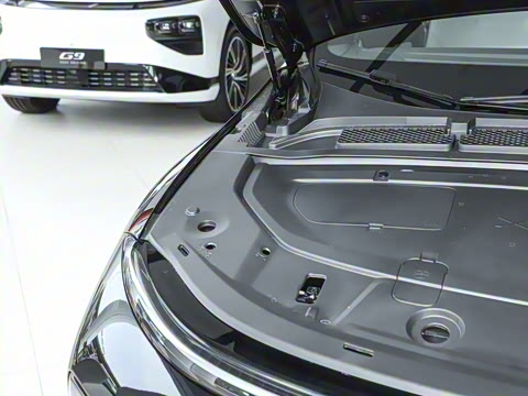 2025�� 625 ������ Max �Ƽ���