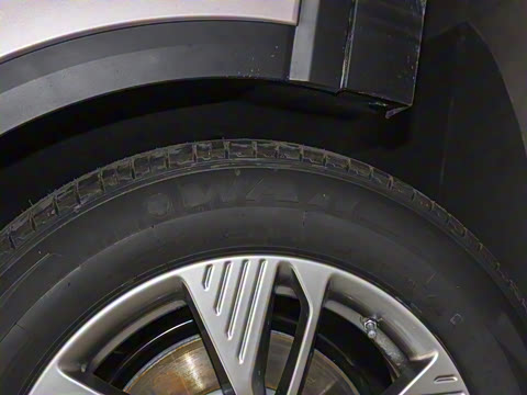 2025�� 565km ������