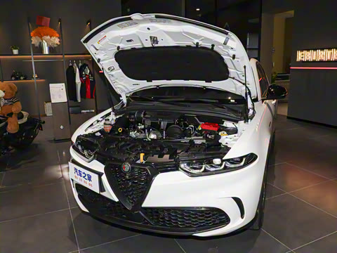 2024�� 2.0T 268HP AWD Veloce������