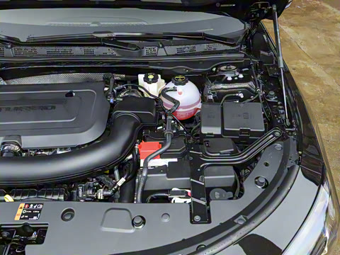 2026�� �׽�ά�ǰ�