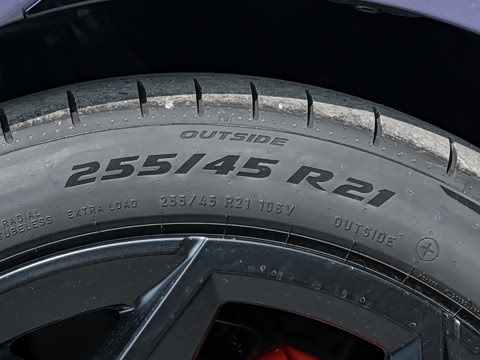 2026�� ����������