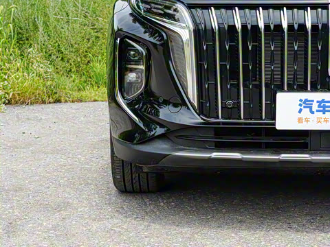 2025�� 2.0T PHEV ����200��������� 6�� 