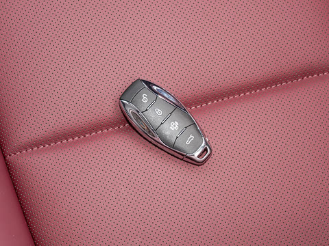 2025�� 2.0T PHEV ����200��������� 6�� 