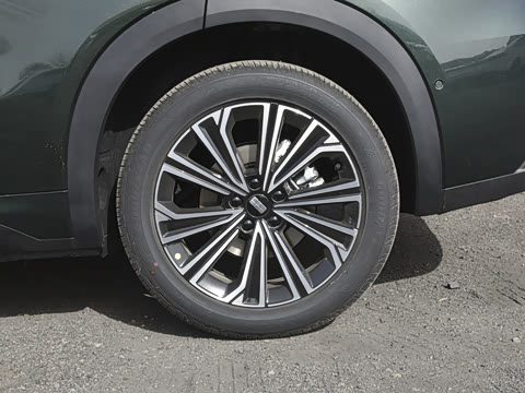 2026�� 135km �ǽ���