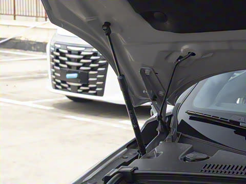 2025�� �Ǽݰ� DM-i 175KM �����