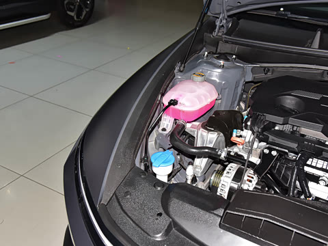 2024�� 2.0T N Line Pro