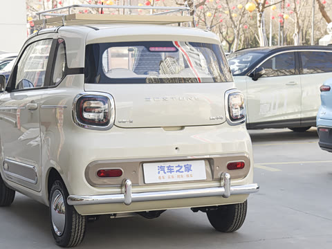 2026�� 222km Ħ����