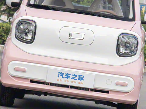 2026�� 222km ��ҫ��