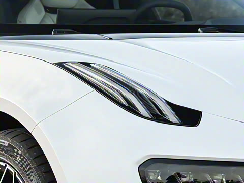 2026��   95������ Max��