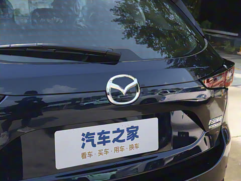 2025�� 2.0L �Զ���������Pro