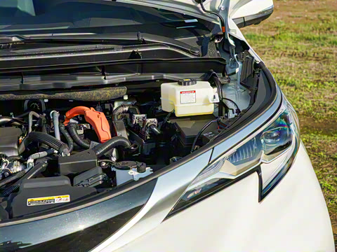 2026�� 2.5L�춯 ���PLUS������