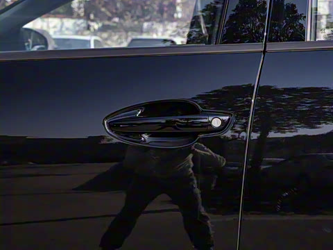 2025�� ������