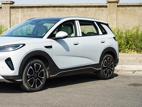 2026�� DM-i �Ǻ���