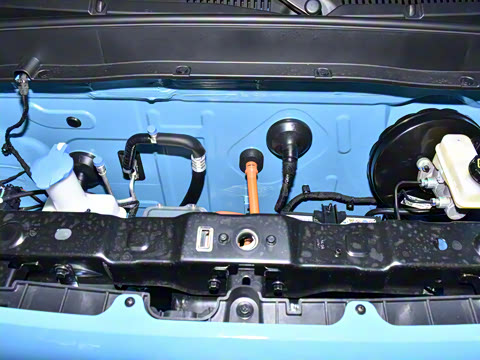 2025�� ������