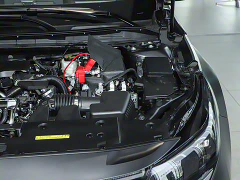 2026�� �������� 2.0L �����ʰ�