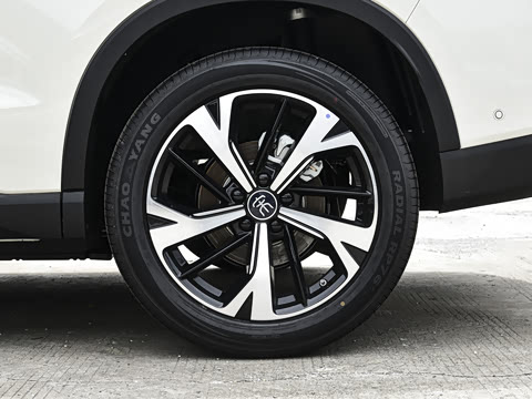 2026�� �ɳ۰� DM-i 220KM��Խ��