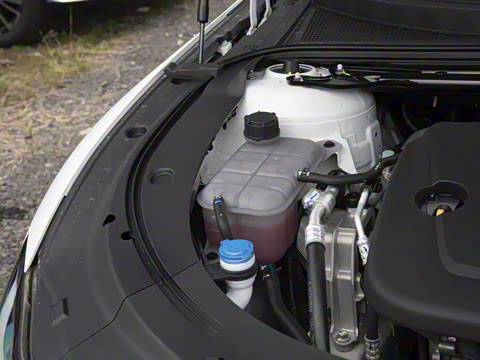 2026�� �����������̰� 310�콢��