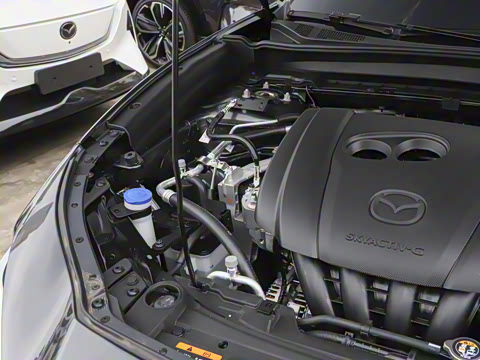 2025�� 2.0L �Զ�������